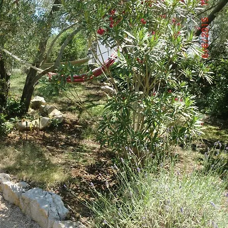 Splendissima Krk - Adults Only Apartment