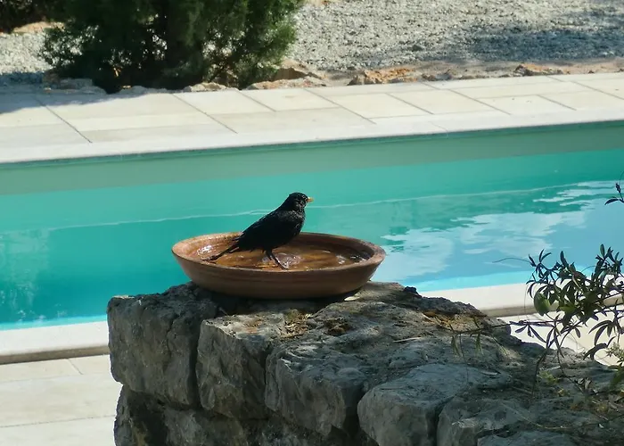 Splendissima Krk - Adults Only Διαμέρισμα *