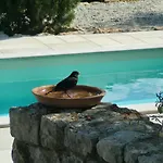 Splendissima Krk - Adults Only Daire *