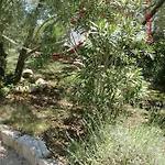 Splendissima Krk - Adults Only Daire