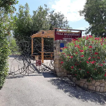 Apartment Splendissima Krk - Adults Only