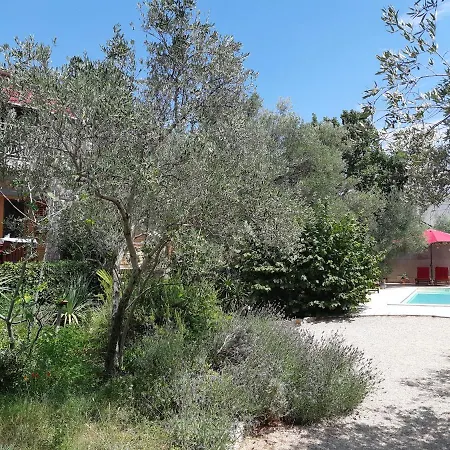 Splendissima Krk - Adults Only *