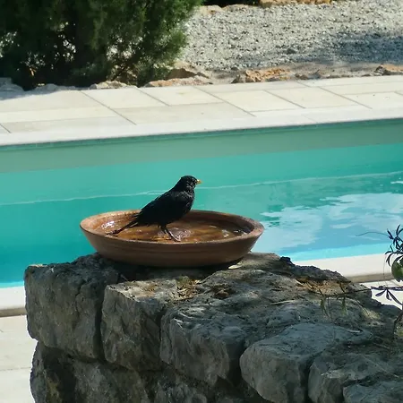 Splendissima Krk - Adults Only Lägenhet *