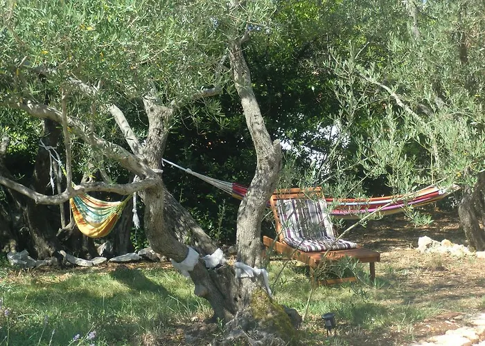 Splendissima Krk - Adults Only