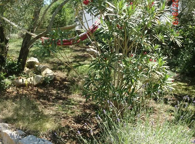 Splendissima Krk - Adults Only Daire