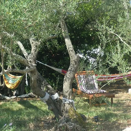 Splendissima Krk - Adults Only