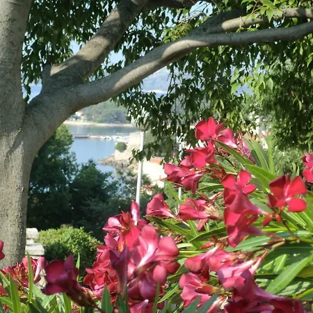 Splendissima Krk - Adults Only Apartament